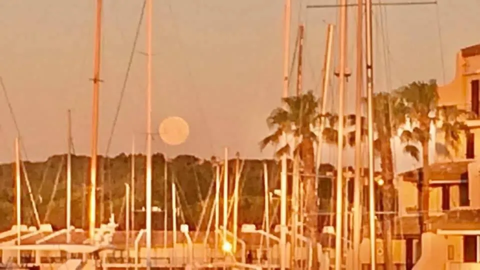Petit Cocon Magnifique Vue Sur Marina Dans Le Golfe De Saint Tropez Apartamento Cogolin França